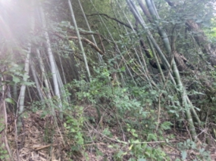 충청남도 당진시 송산면 금암리 481-2 외 3필지 대지 경매 사진 11