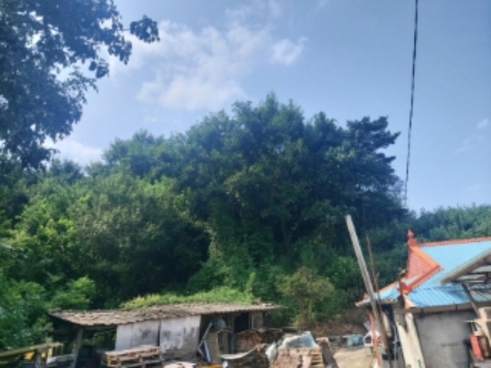 충청남도 당진시 송산면 금암리 481-2 외 3필지 대지 경매 사진 3