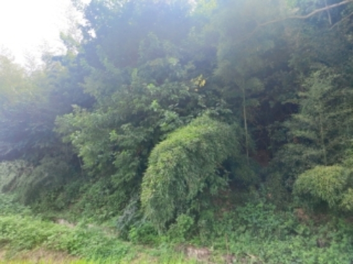 충청남도 당진시 송산면 금암리 481-2 외 3필지 대지 경매 사진 21