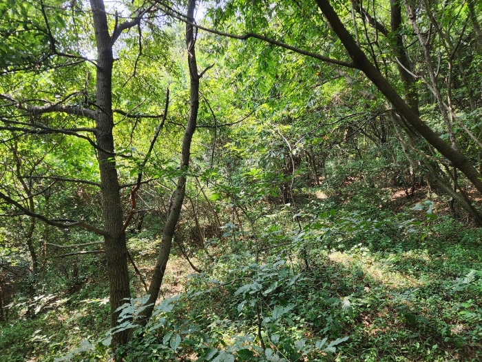 충청남도 당진시 송산면 금암리 481-2 외 3필지 대지 경매 사진 28