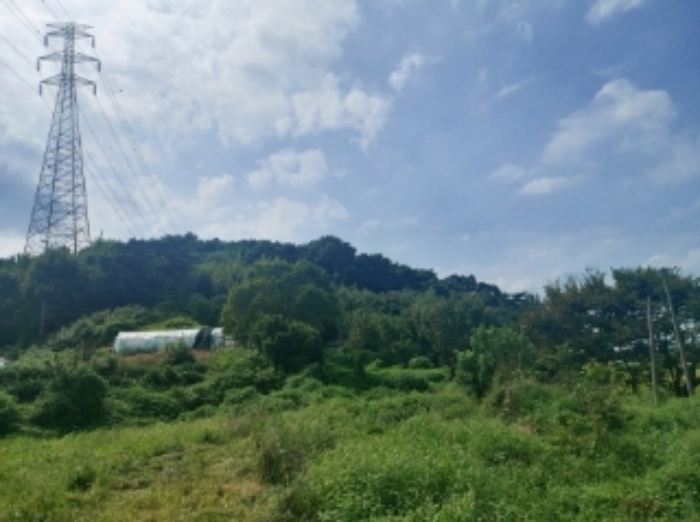 충청남도 당진시 송산면 금암리 481-2 외 3필지 대지 경매 사진 4