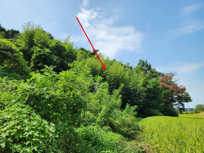충청남도 당진시 송산면 금암리 481-2 외 3필지 대지 경매 사진 33