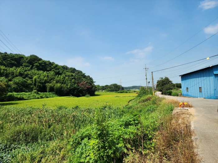충청남도 당진시 송산면 금암리 481-2 외 3필지 대지 경매 사진 35