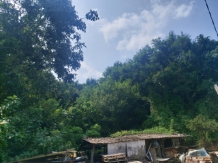 충청남도 당진시 송산면 금암리 481-2 외 3필지 대지 경매 사진 5
