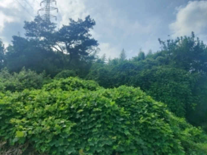 충청남도 당진시 송산면 금암리 481-2 외 3필지 대지 경매 사진 9