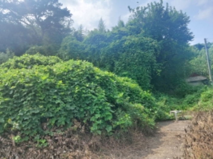 충청남도 당진시 송산면 금암리 481-2 외 3필지 대지 경매 사진 10