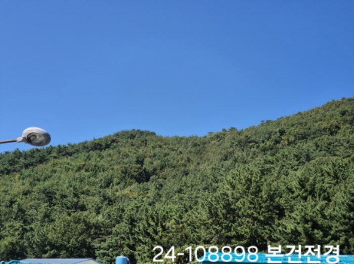 부산광역시 사상구 학장동 산114-1 임야 경매 사진 11