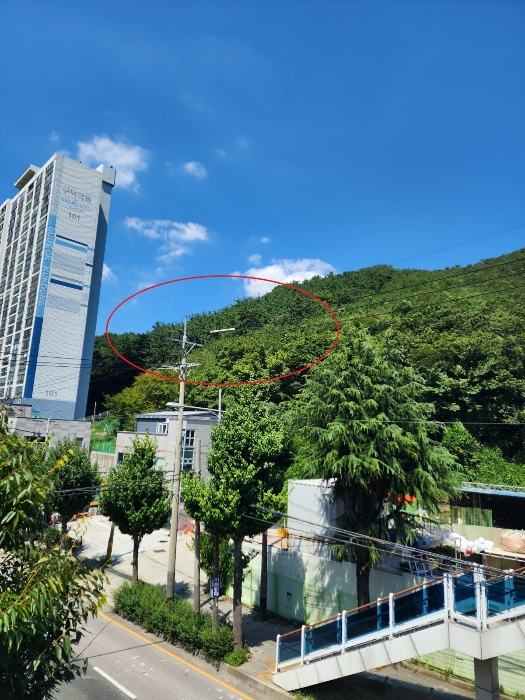 부산광역시 사상구 학장동 산114-1 임야 경매 사진 14