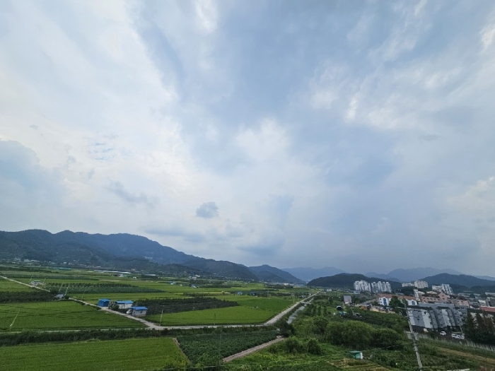 경상남도 창원시 의창구 북면 신촌리 산58 임야 경매 사진 3