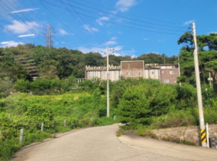 경상북도 성주군 성주읍 삼산리 산29-2 임야 경매 사진 11