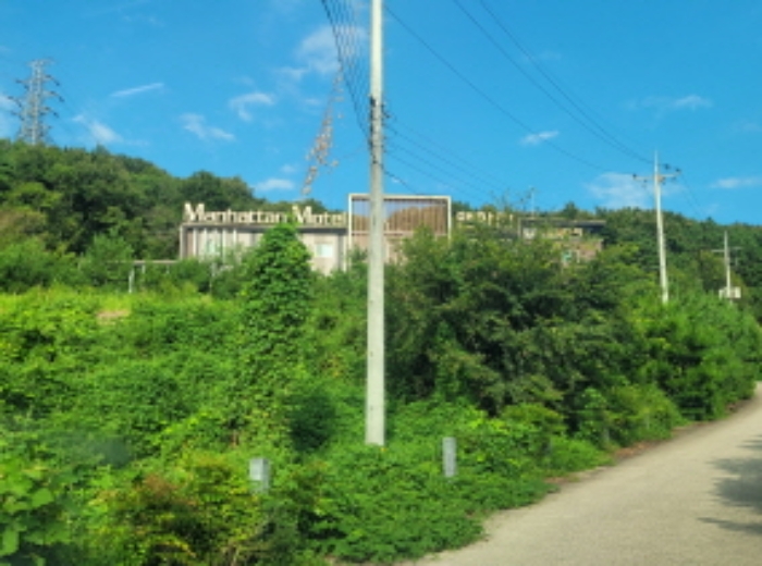 경상북도 성주군 성주읍 삼산리 산29-2 임야 경매 사진 12