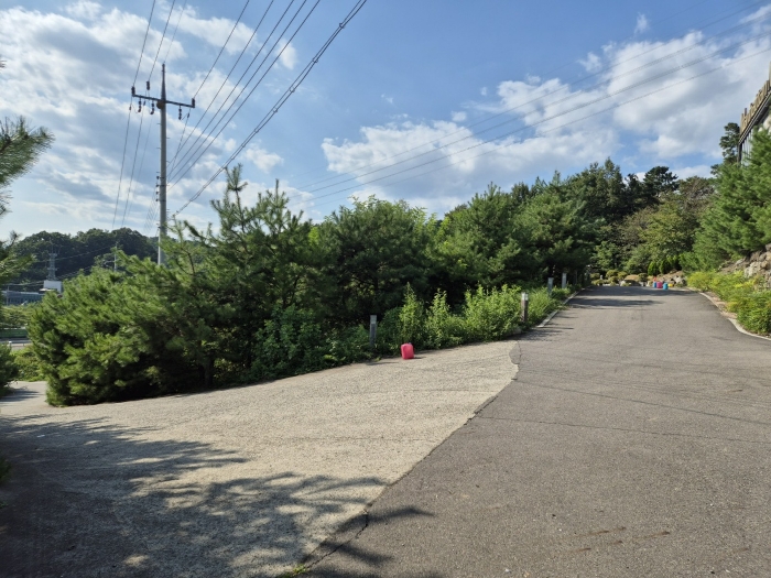 경상북도 성주군 성주읍 삼산리 산29-2 임야 경매 사진 13