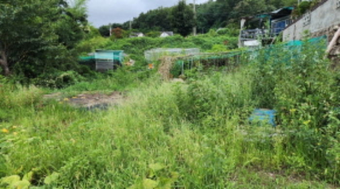 울산광역시 울주군 웅촌면 고연리 1655-7 외 3필지 답 경매 사진 1