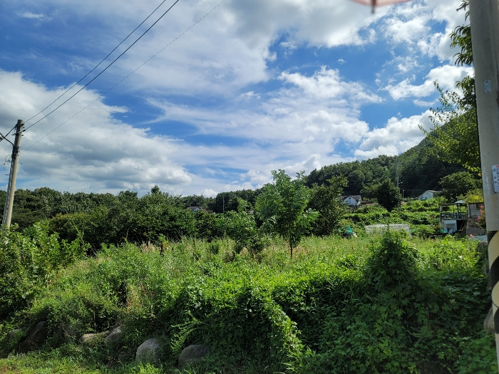 울산광역시 울주군 웅촌면 고연리 1655-7 외 3필지 답 경매 사진 11