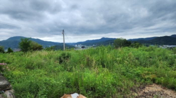 울산광역시 울주군 웅촌면 고연리 1655-7 외 3필지 답 경매 사진 3