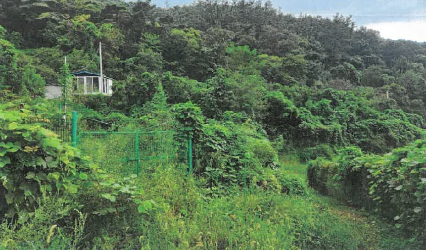 전라남도 화순군 화순읍 이십곡리 373 답 경매 사진 14