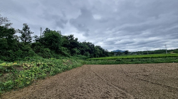 경상북도 영천시 화산면 대안리 983-2 외 6필지 창고용지 경매 사진 30