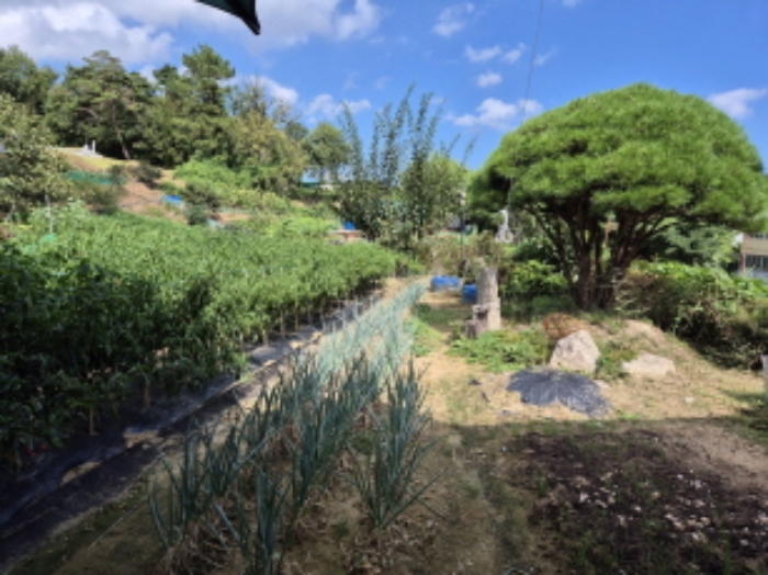 울산광역시 울주군 청량읍 동천리 541 전 경매 사진 18