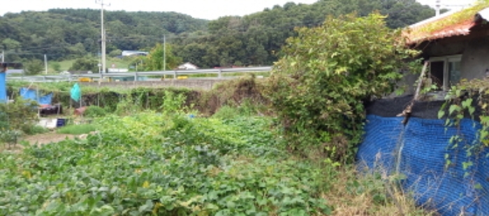경기도 연천군 군남면 삼거리 354 외 14필지 전 경매 사진 5