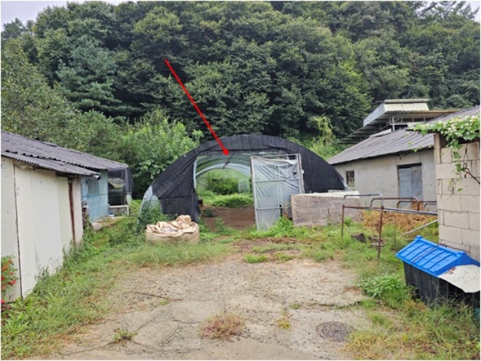 경기도 연천군 군남면 삼거리 354 외 14필지 전 경매 사진 65