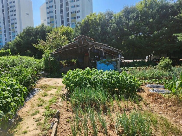 경기도 양주시 백석읍 가업리 454 외 8필지 창고시설 경매 사진 26