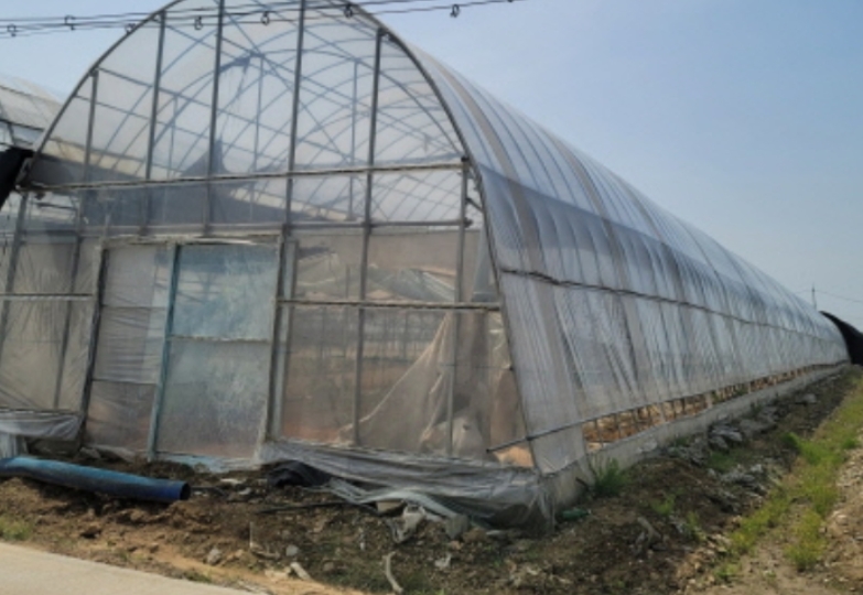경기도 고양시 덕양구 관산동 702 외 1필지 답 경매 사진 11