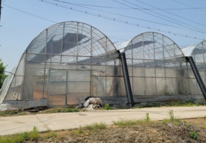 경기도 고양시 덕양구 관산동 702 외 1필지 답 경매 사진 13