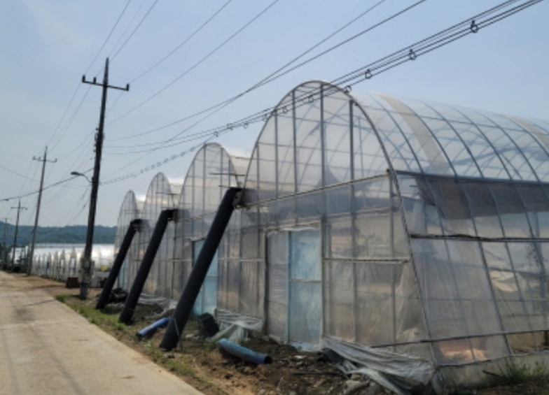 경기도 고양시 덕양구 관산동 702 외 1필지 답 경매 사진 7