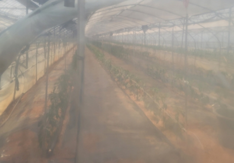 경기도 고양시 덕양구 관산동 702 외 1필지 답 경매 사진 9