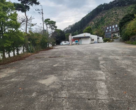 충청북도 보은군 보은읍 강산리 44-4 외 5필지 의료시설 경매 사진 1