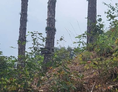 충청북도 보은군 보은읍 강산리 44-4 외 5필지 의료시설 경매 사진 23