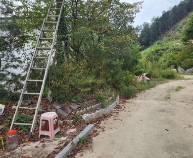 충청북도 보은군 보은읍 강산리 44-4 외 5필지 의료시설 경매 사진 7