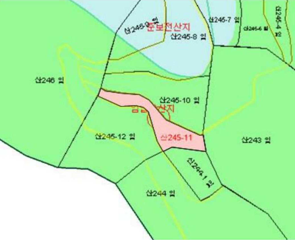 전라남도 나주시 봉황면 만봉리 산245-11 임야 경매 사진 33
