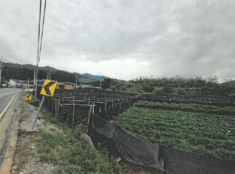 충청북도 충주시 주덕읍 신양리 354 과수원 경매 사진 3
