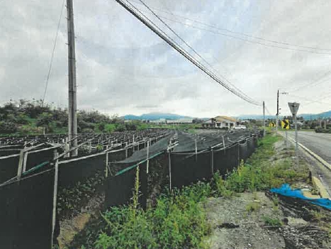 충청북도 충주시 주덕읍 신양리 354 과수원 경매 사진 4