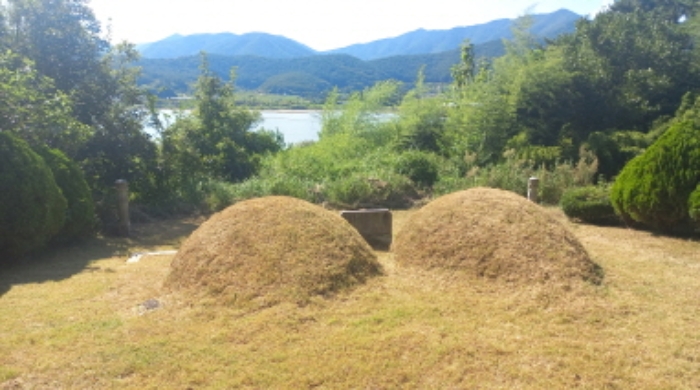 경상남도 고성군 대가면 암전리 385-1 외 2필지 전 경매 사진 1