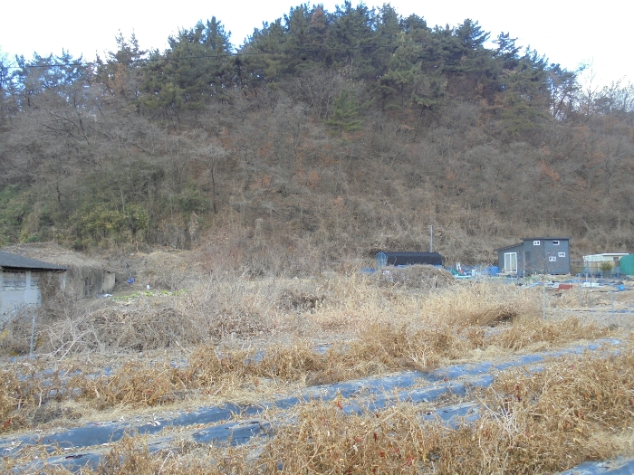 경상남도 창녕군 장마면 신구리 89 외 4필지 답 경매 사진 12