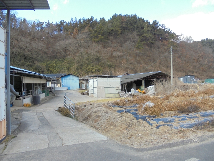 경상남도 창녕군 장마면 신구리 89 외 4필지 답 경매 사진 13