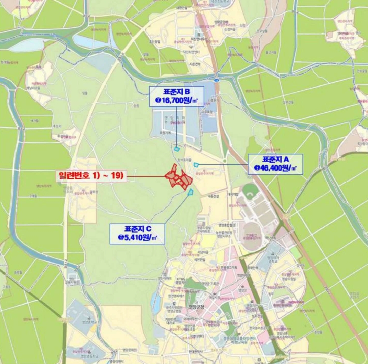 전라남도 영암군 영암읍 망호리 67-3 외 17필지 잡종지 경매 사진 17