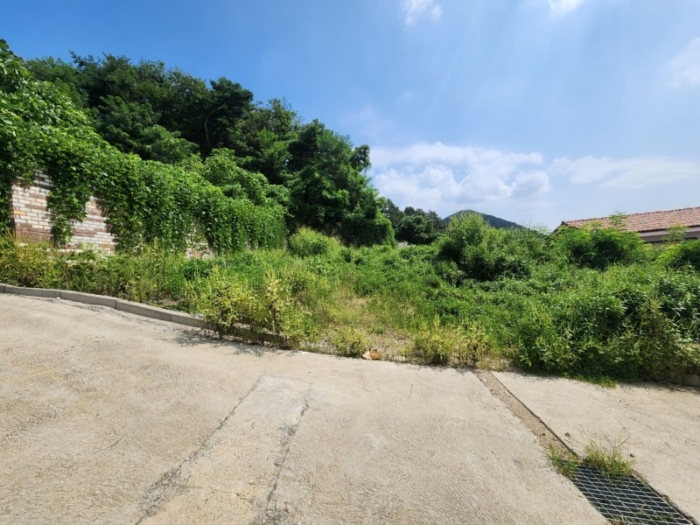 인천광역시 강화군 강화읍 국화리 793-34 외 2필지 임야 경매 사진 13