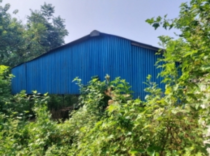 충청남도 당진시 신평면 상오리 687-10 외 7필지 동물및식물관련시설 경매 사진 14