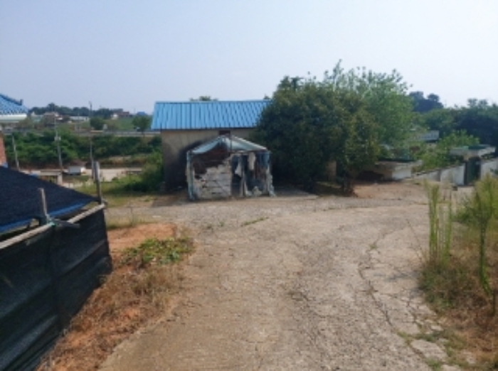 충청남도 당진시 신평면 상오리 687-10 외 7필지 동물및식물관련시설 경매 사진 19