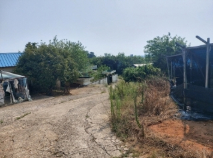 충청남도 당진시 신평면 상오리 687-10 외 7필지 동물및식물관련시설 경매 사진 20