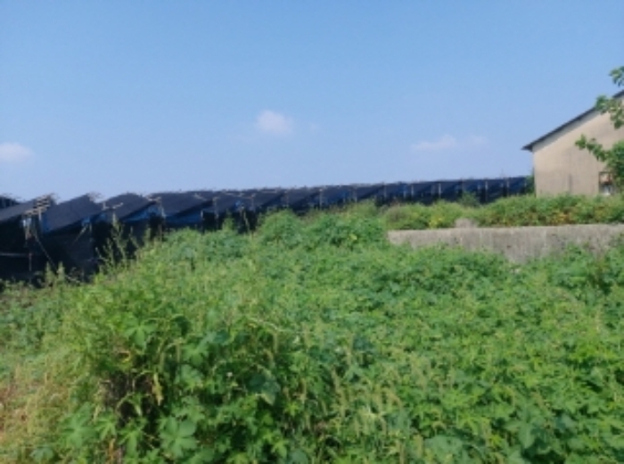충청남도 당진시 신평면 상오리 687-10 외 7필지 동물및식물관련시설 경매 사진 35
