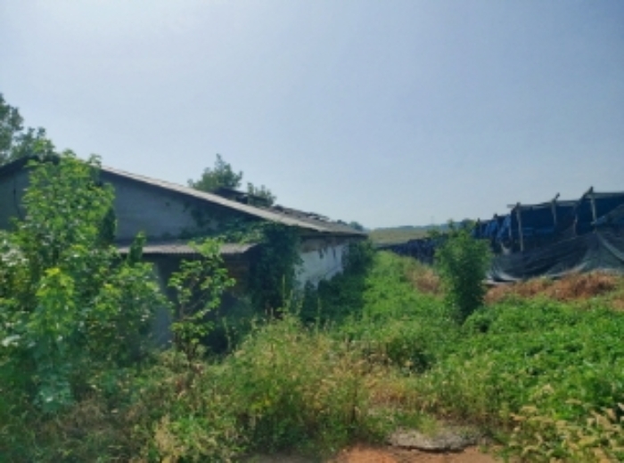 충청남도 당진시 신평면 상오리 687-10 외 7필지 동물및식물관련시설 경매 사진 43