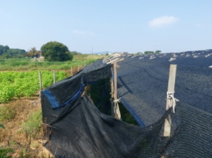 충청남도 당진시 신평면 상오리 687-10 외 7필지 동물및식물관련시설 경매 사진 6