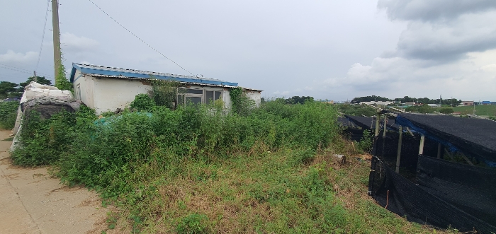 충청남도 당진시 신평면 상오리 687-10 외 7필지 동물및식물관련시설 경매 사진 60