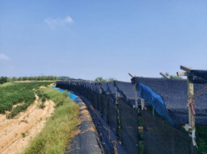 충청남도 당진시 신평면 상오리 687-10 외 7필지 동물및식물관련시설 경매 사진 8
