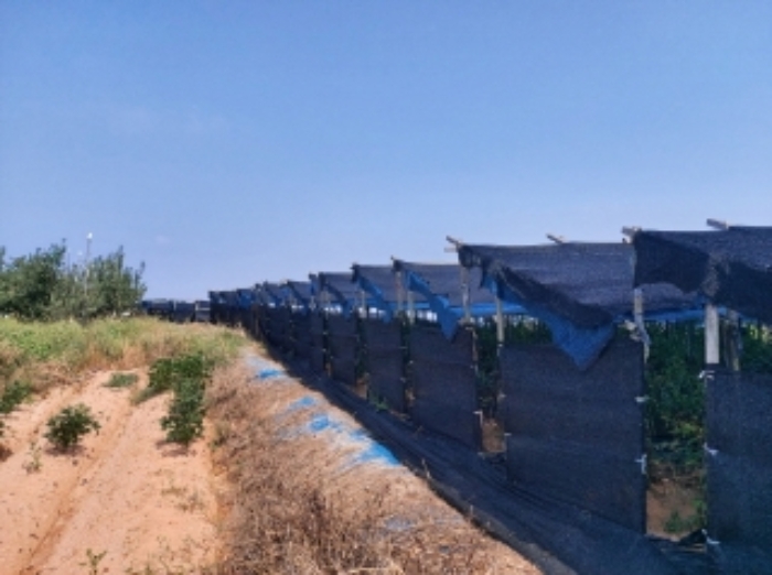 충청남도 당진시 신평면 상오리 687-10 외 7필지 동물및식물관련시설 경매 사진 9
