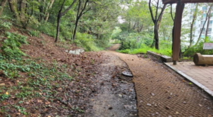 경기도 김포시 사우동 산44 임야 경매 사진 15